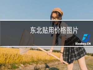 东北贴用价格图片