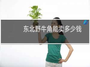 东北野牛角能卖多少钱