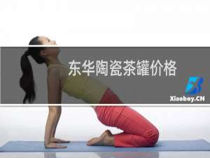 东华陶瓷茶罐价格