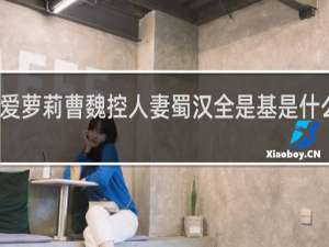 东吴爱萝莉曹魏控人妻蜀汉全是基是什么梗什么梗