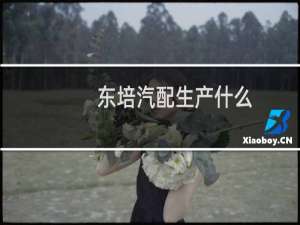 东培汽配生产什么