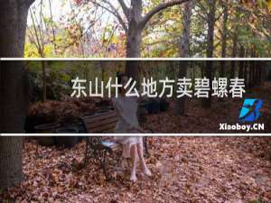 东山什么地方卖碧螺春