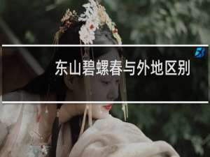 东山碧螺春与外地区别