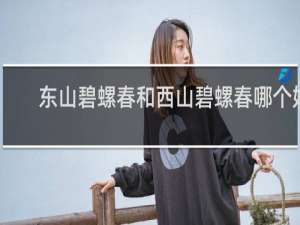 东山碧螺春和西山碧螺春哪个好