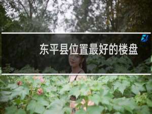 东平县位置最好的楼盘