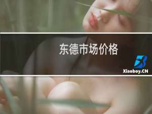 东德市场价格