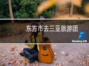 东方市去三亚旅游团