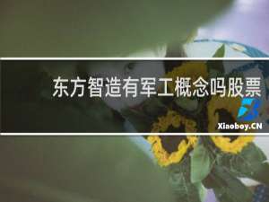 东方智造有军工概念吗股票