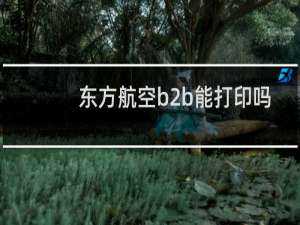 东方航空b2b能打印吗