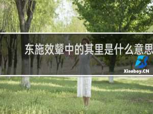 东施效颦中的其里是什么意思