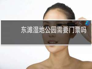 东滩湿地公园需要门票吗