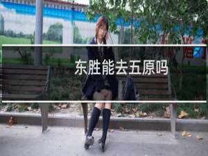 东胜能去五原吗