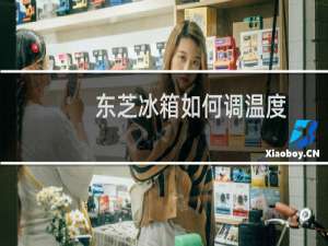 东芝冰箱如何调温度