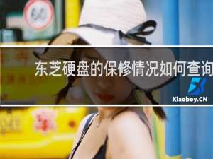 东芝硬盘的保修情况如何查询