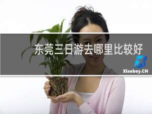 东莞三日游去哪里比较好