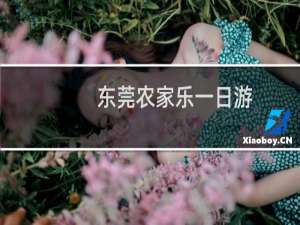 东莞农家乐一日游