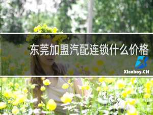 东莞加盟汽配连锁什么价格