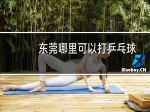 东莞哪里可以打乒乓球