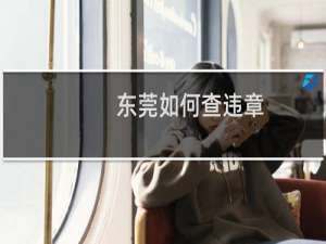 东莞如何查违章（东莞微信公众号查违章）