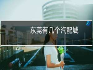 东莞有几个汽配城