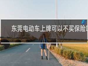 东莞电动车上牌可以不买保险吗