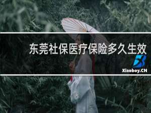 东莞社保医疗保险多久生效