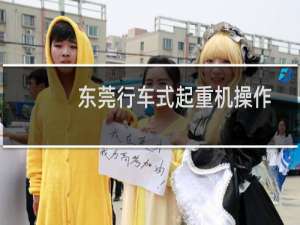 东莞行车式起重机操作