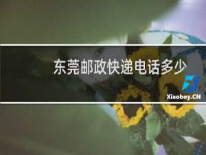 东莞邮政快递电话多少