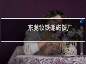 东莞钕铁硼磁铁厂