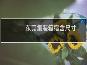 东莞集装箱宿舍尺寸