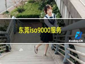 东莞iso9000服务流程