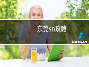 东莞sn攻略