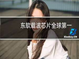 东软载波芯片全球第一