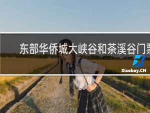 东部华侨城大峡谷和茶溪谷门票