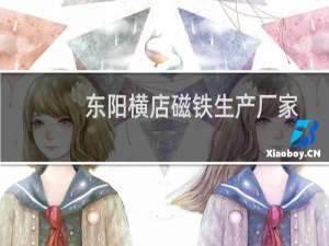 东阳横店磁铁生产厂家