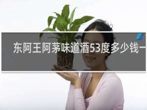 东阿王阿茅味道酒53度多少钱一瓶