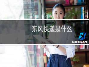 东风快递是什么