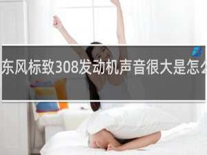 东风标致308发动机声音很大是怎么回事