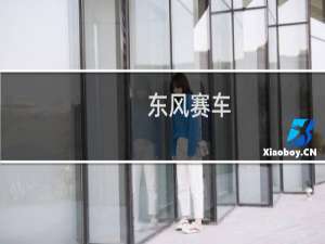 东风赛车