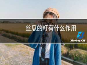 丝瓜的籽有什么作用