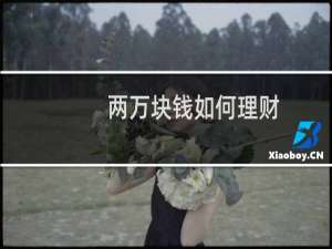 两万块钱如何理财