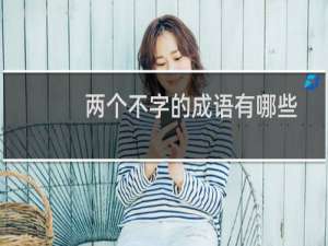 两个不字的成语有哪些