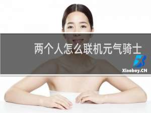两个人怎么联机元气骑士