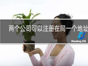 两个公司可以注册在同一个地址吗