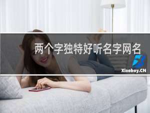 两个字独特好听名字网名