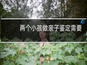 两个小孩做亲子鉴定需要多少钱