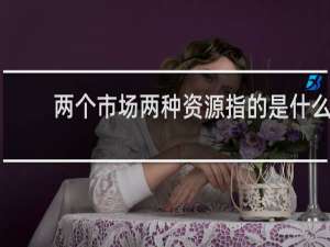 两个市场两种资源指的是什么