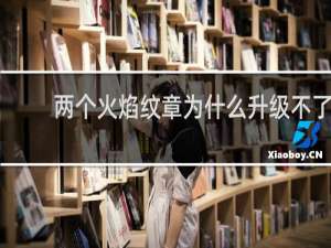 两个火焰纹章为什么升级不了
