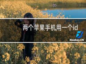 两个苹果手机用一个id怎么取消