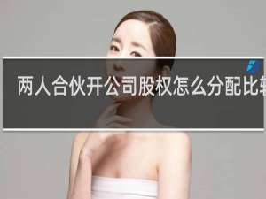 两人合伙开公司股权怎么分配比较好